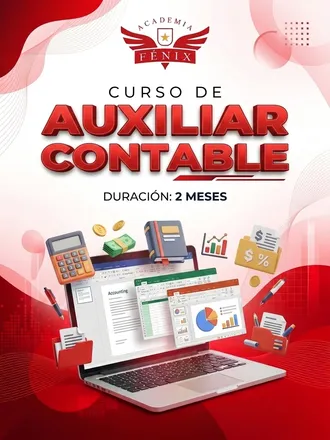 Curso Auxiliar Contable con Certificado Oficial - Academia Fénix